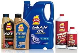 我國(guó)主要潤(rùn)滑油企業(yè)渠道策略研究